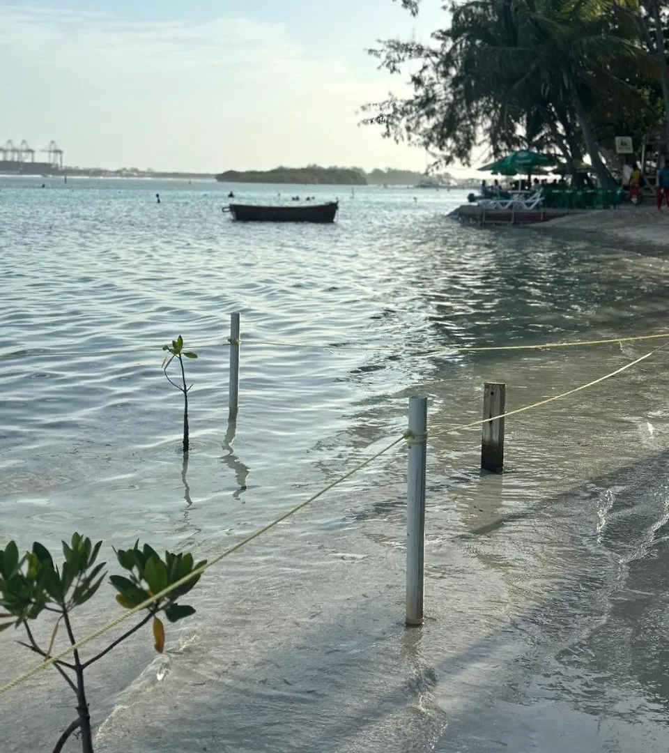 Residential Amanda Del Mar In Front Of The Beach Boca Chica Lejlighed