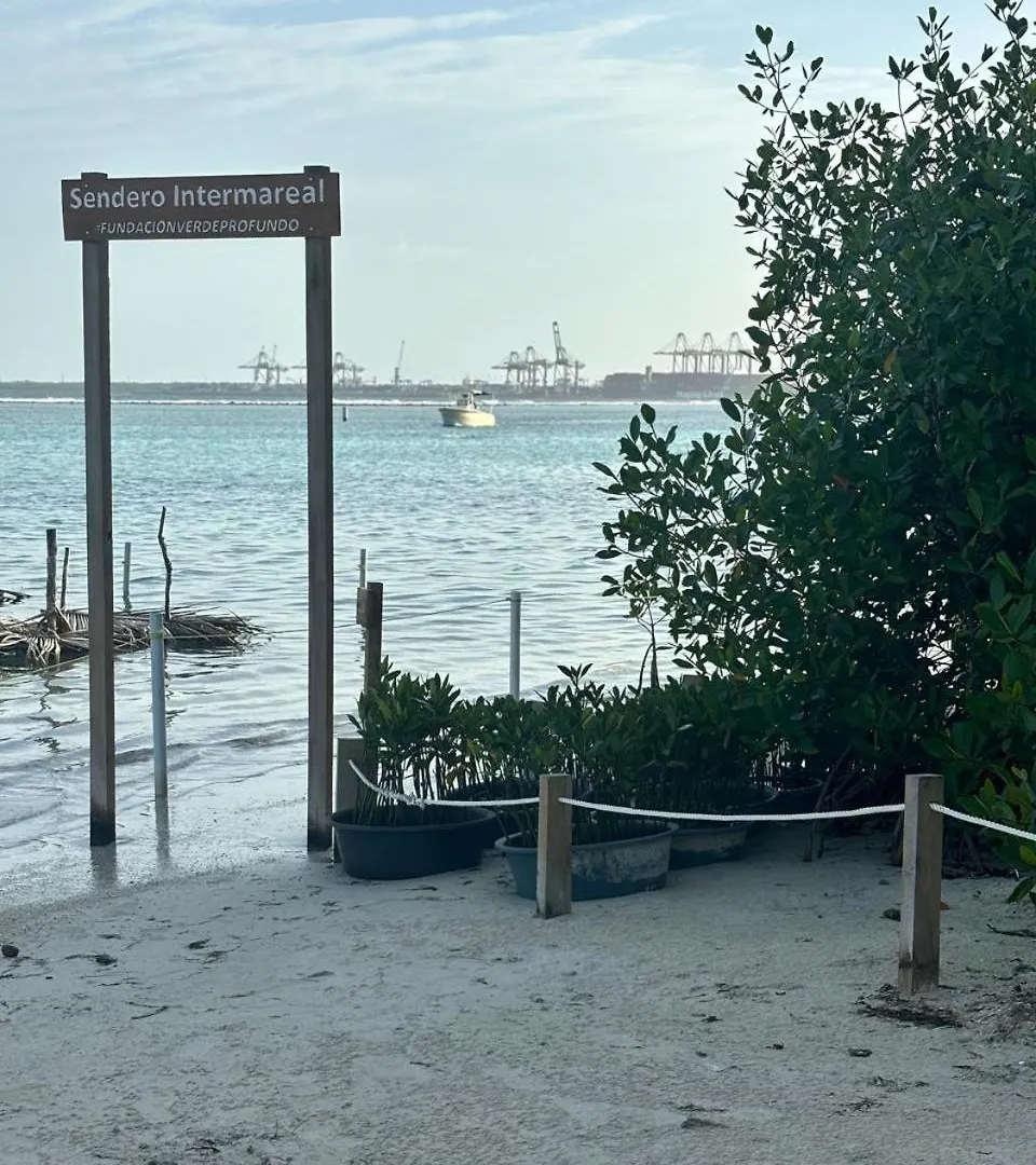 Residential Amanda Del Mar In Front Of The Beach Boca Chica Den Dominikanske Republik